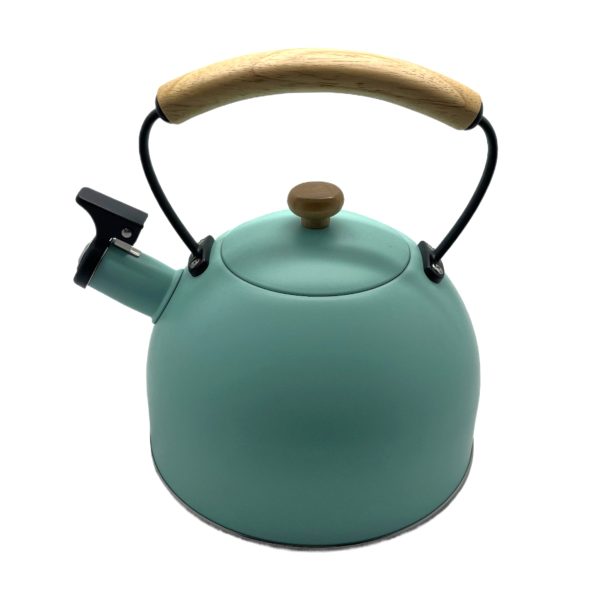 Bouilloire à sifflet 2,5 litres couleur VERT EAU – Image 4