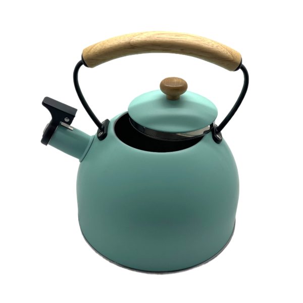 Bouilloire à sifflet 2,5 litres couleur VERT EAU – Image 3